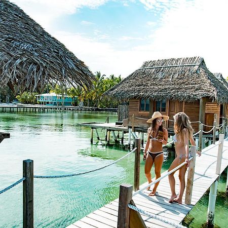 Azul Paradise باستيمينتوس المظهر الخارجي الصورة
