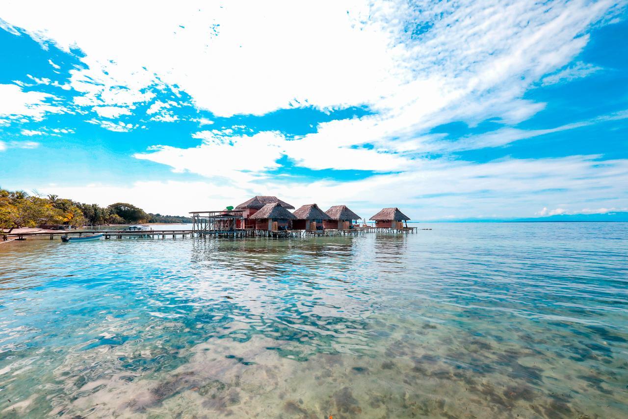 Azul Paradise باستيمينتوس المظهر الخارجي الصورة